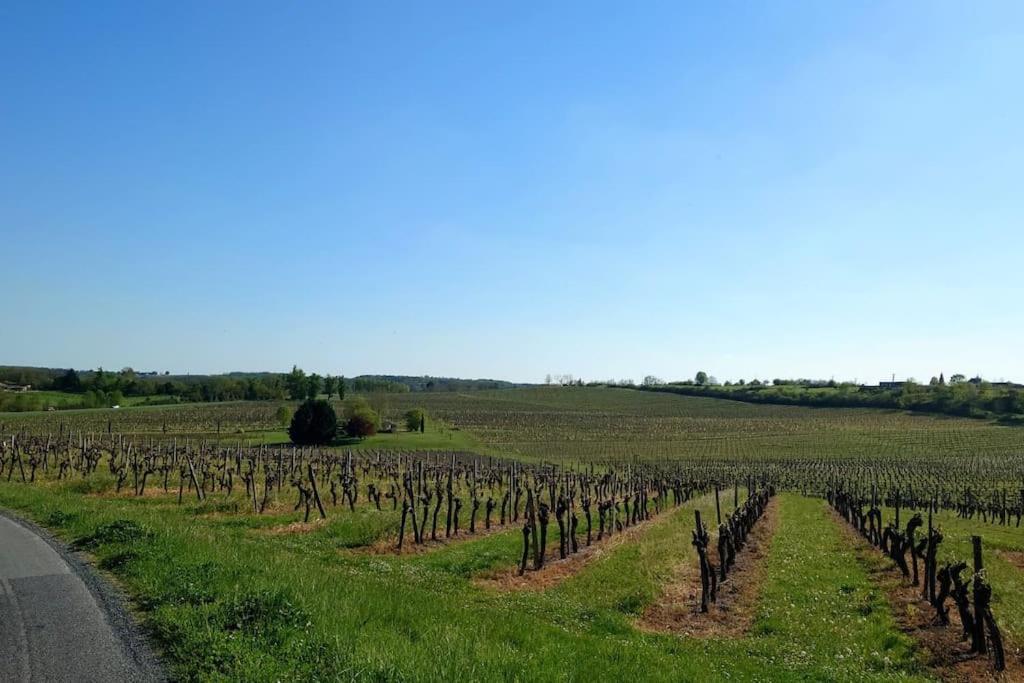 Entre Pierre Et Vigne - Charming Former Winery Farmhouse With Hot Tub & Swimming Pool Monestier  Exterior foto